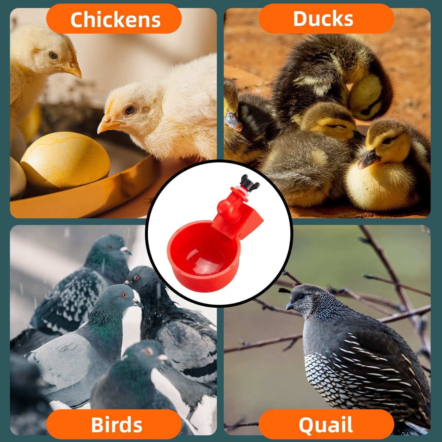 Poultry Water Bowls